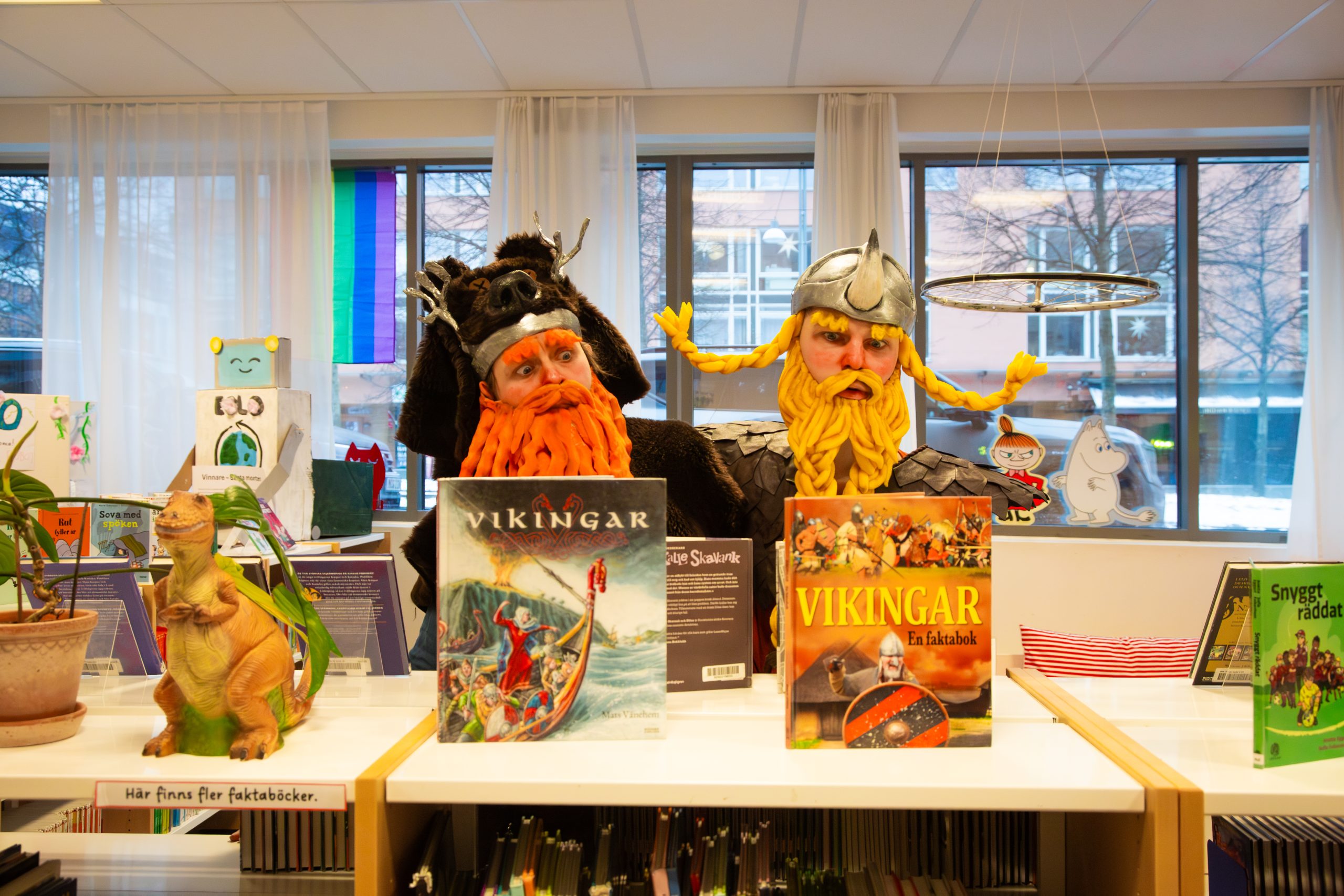 Vikingar i bibliotek