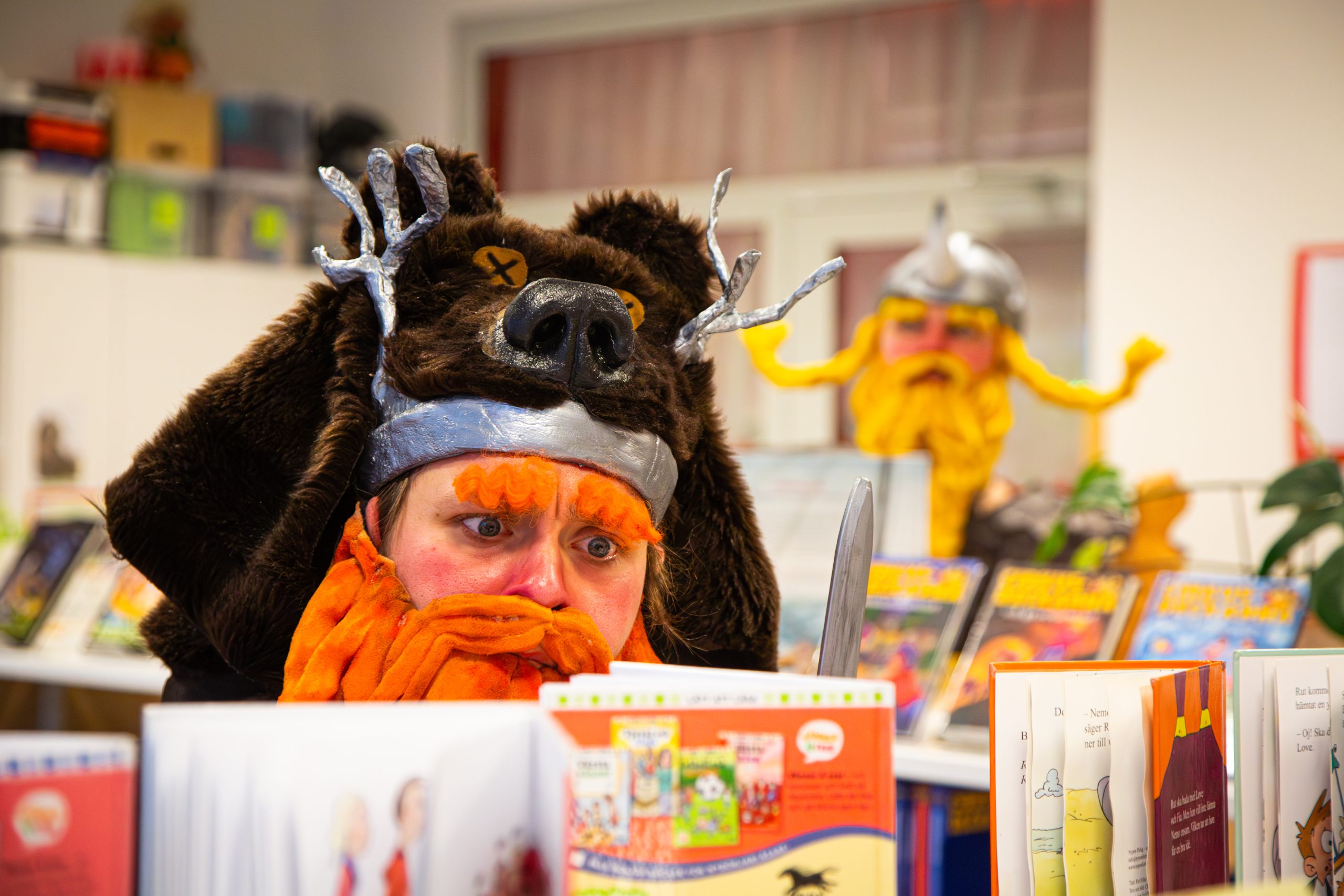 Vikingar i bibliotek